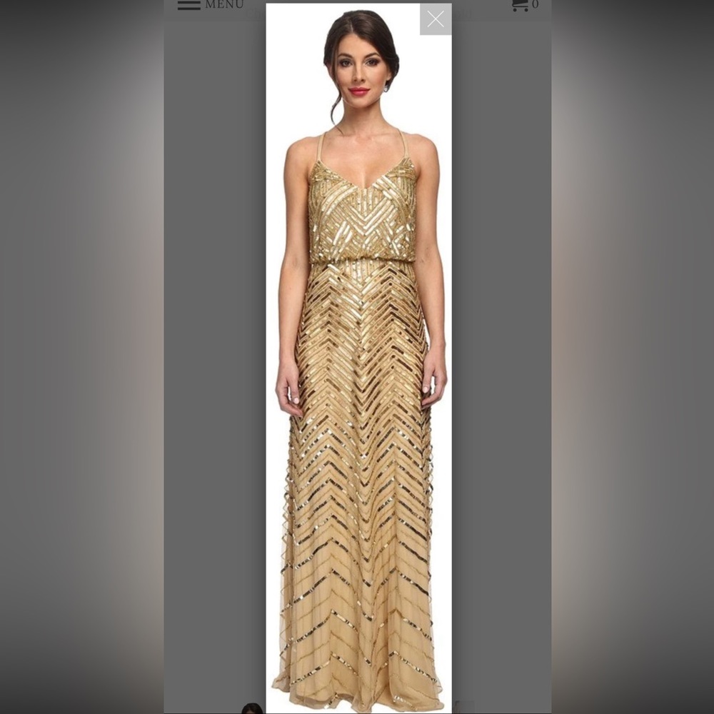 Gorgeous Adriana Papell dress!